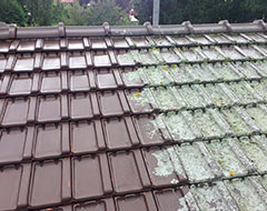 Démoussage toiture à Raismes, valenciennes, douai, lille